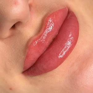 labios-home
